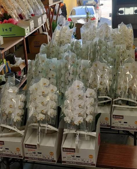 「にいだ花店」　（愛媛県今治市）の花屋店舗写真4