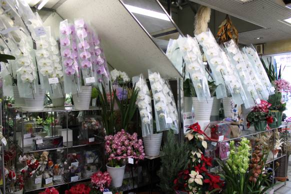 「にいだ花店」　（愛媛県今治市）の花屋店舗写真2
